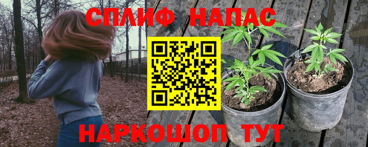 Бошки марихуана конопля  Вход с VPN  Каннабис MAZAR  Спасск-Дальний  Шишки марихуана тримм 